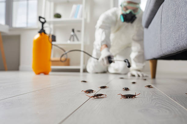 Commercial Kitchen Cockroach Control in Forest Grove
